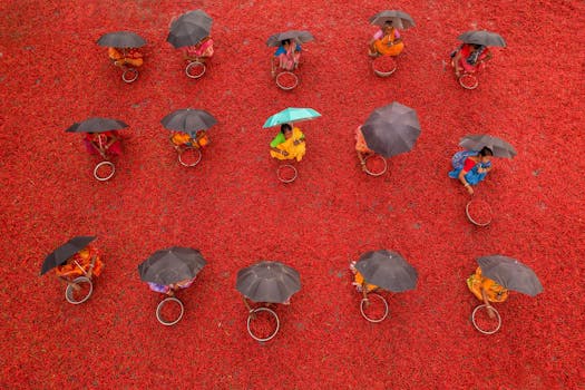 Jak správně uložit, recyklovat či darovat deštníky po sezóně