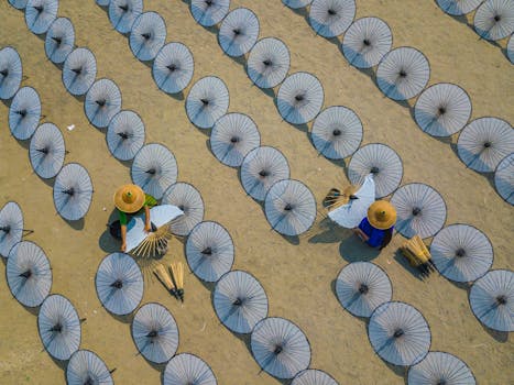 Zvláštní deštníky: Kdy, proč a jaké vybrat pro vaše potřeby