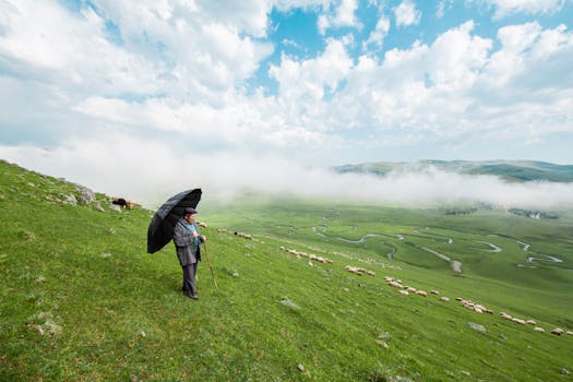 Eko-friendly Deštníky: Menší Ekologická Stopa, Větší Význam